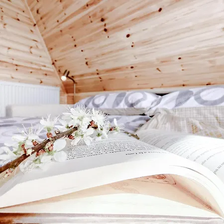 Kemping Mill Glamping &