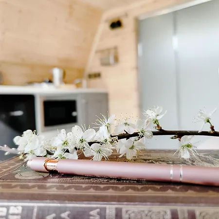 Mill Glamping & Campingplatz *