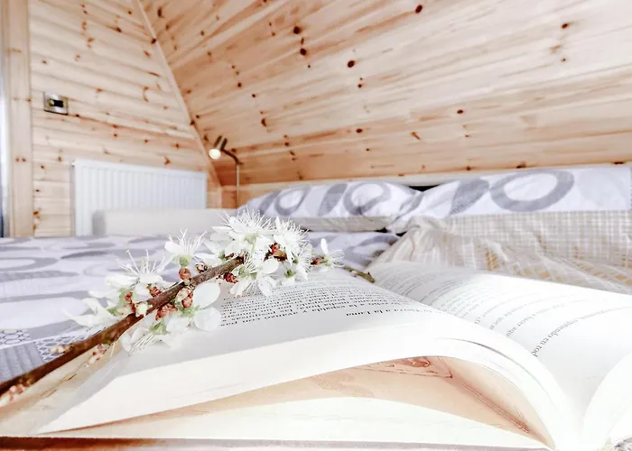 Kemping Mill Glamping &